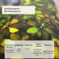 Preview: Bio Viskosejersey mit Überbreite: Eigenproduktion Velvet Blossom green (Bordüre) von Graustufen-Stoffe